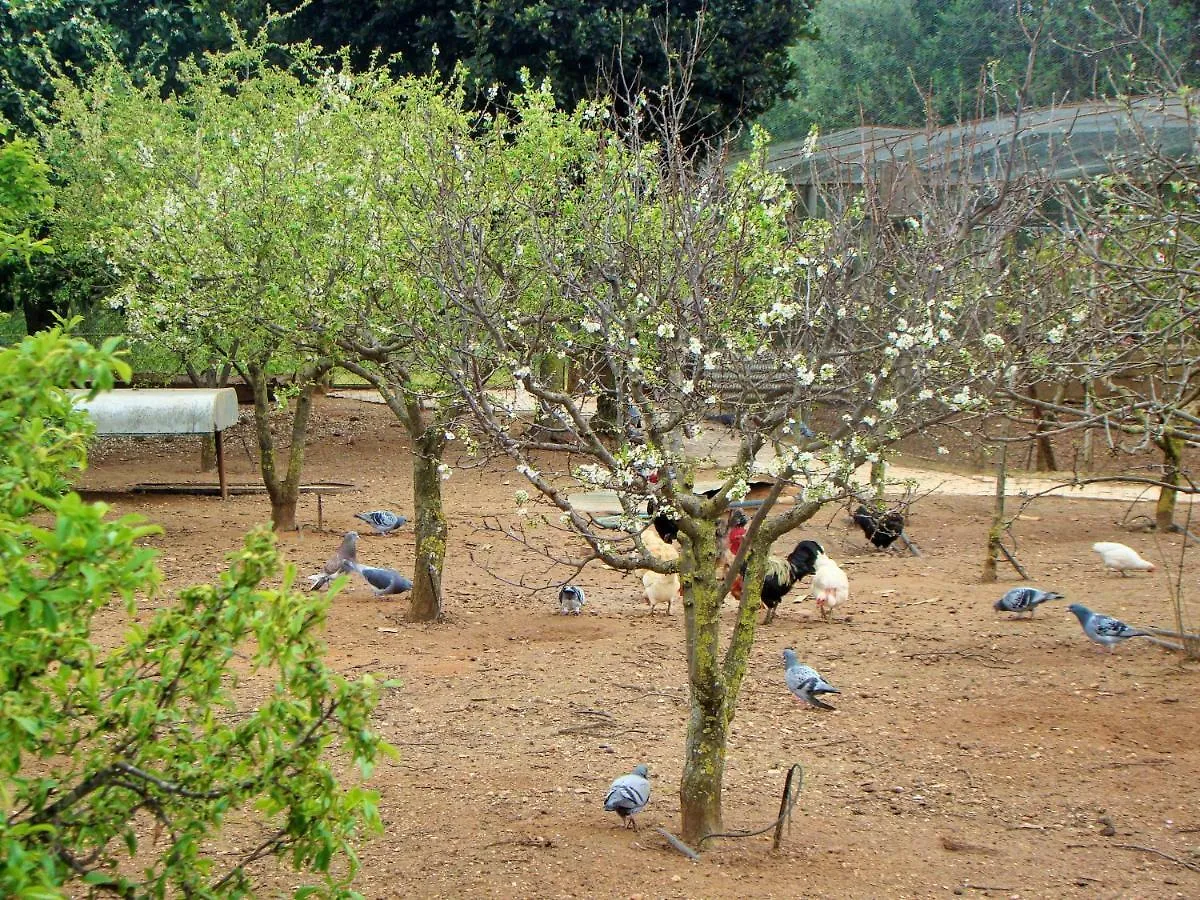 Hotel Quinta Da Norinha Portimão Pensjonat